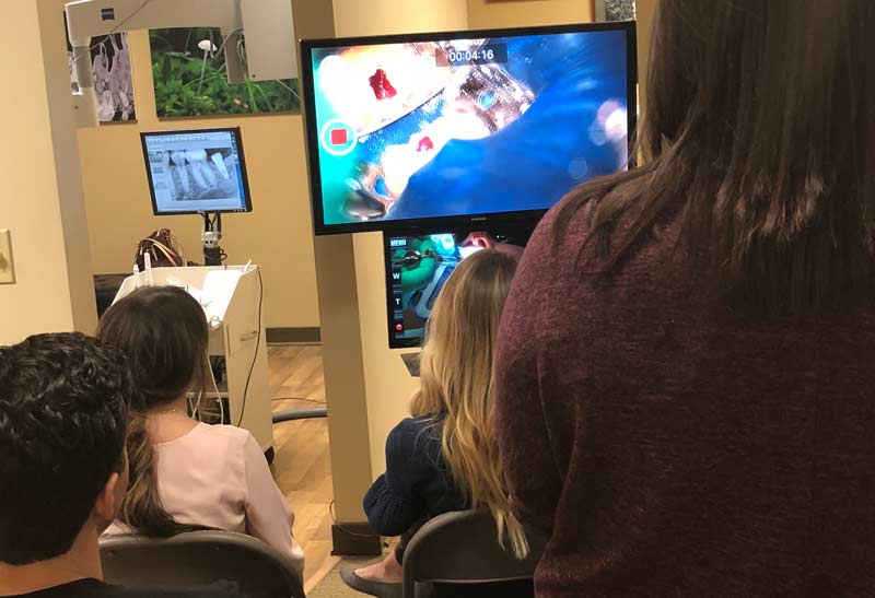 CE_course_endodontics King Endodontics